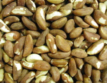 Brazil Nuts, Shelled: 1/4 Pound